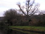 Autumnal morning across the canal