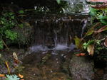 Cambridge Botanical Gardens