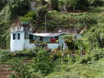 Madeira 08