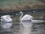 Jan and Feb 09